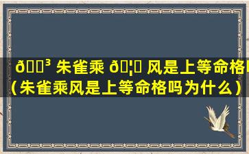 🌳 朱雀乘 🦈 风是上等命格吗（朱雀乘风是上等命格吗为什么）